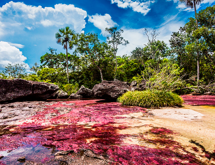caño cristales